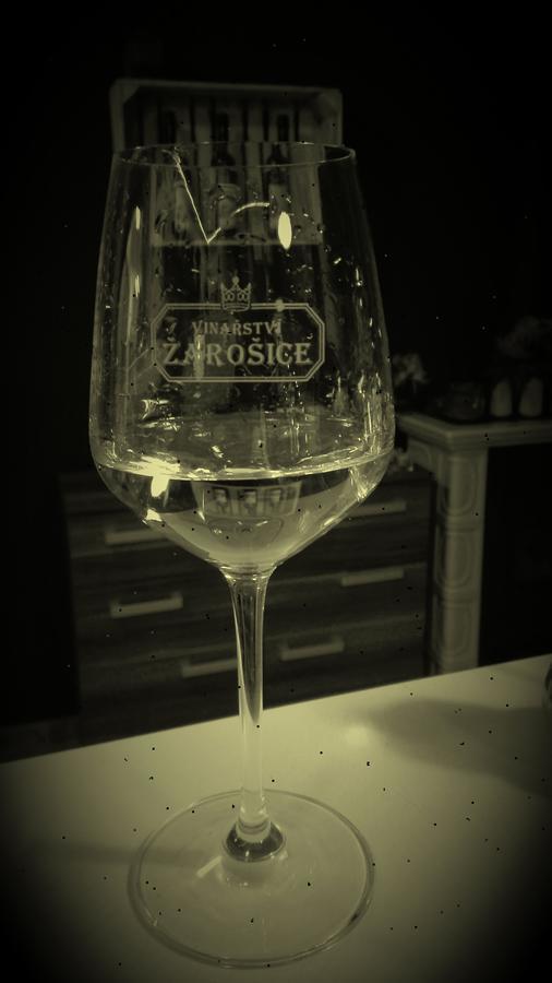 Vojkovice  优雷奇旅馆酒店 外观 照片